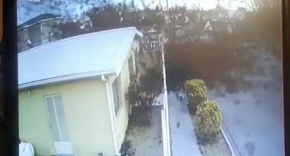 A security camera caught the moment a large flock of birds crashed into the ground. Source: Policía Seccional de Álvaro Obregón, municipio de Chihuahua