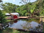 <p>While the lodge’s pool may not be massive, it more than makes up for it with the poolside view. (Airbnb) </p>