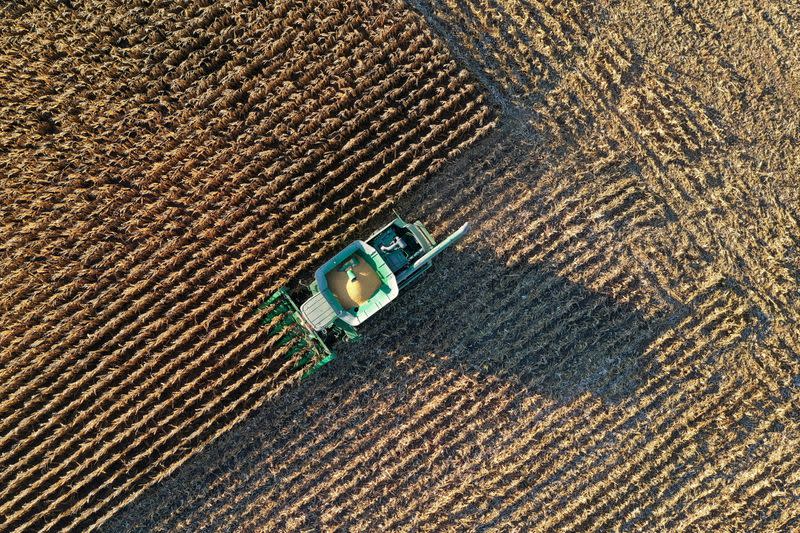 FILE PHOTO: Farmer Roger Hadley harvests corn from his fields in Woodburn, Indiana,