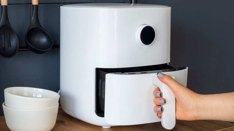 Person using an air fryer