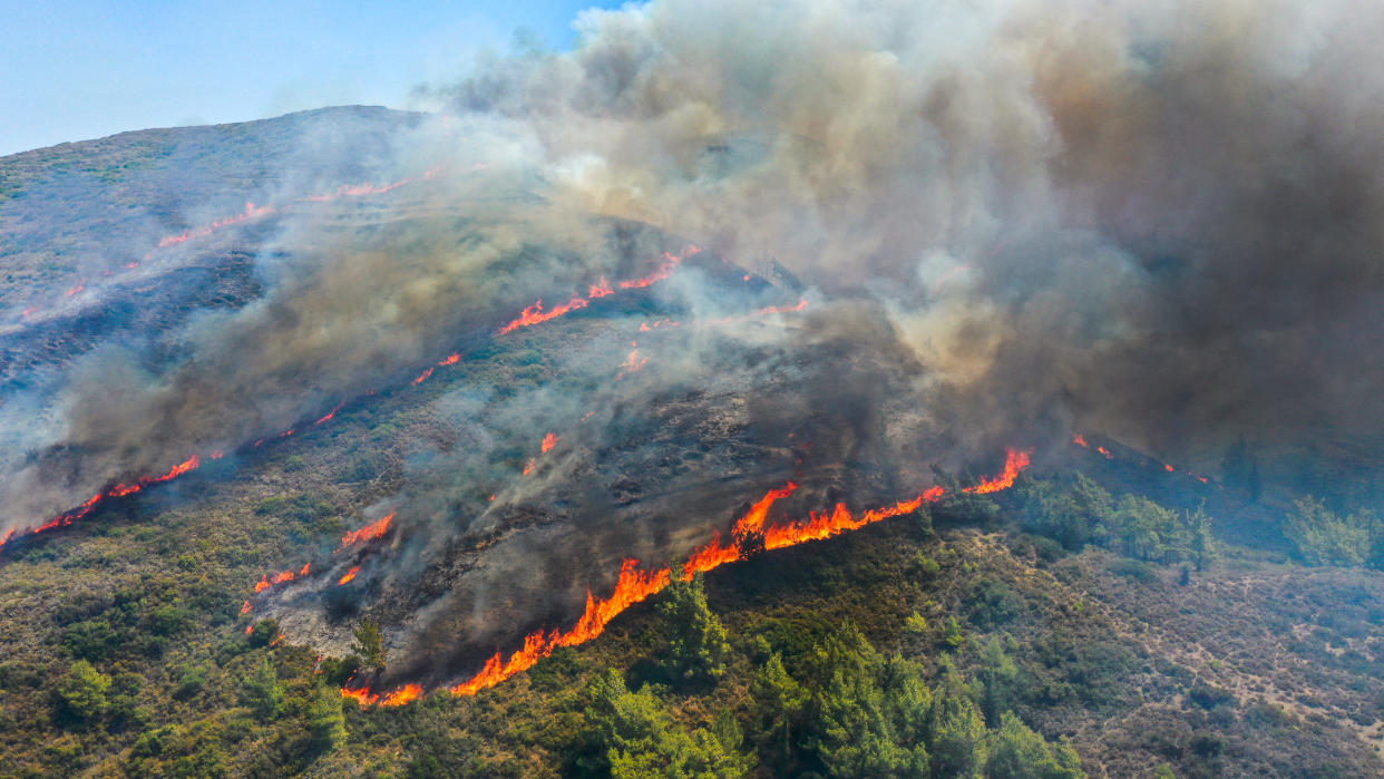 Wildfires swept Rhodes in Greece during July. (Getty Images)