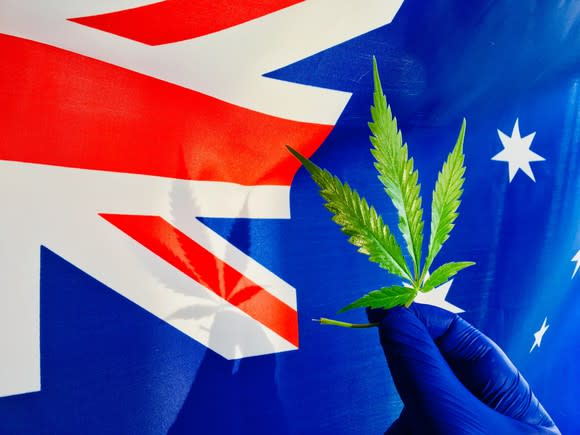 A person holding a marijuana leaf in front of an Australian flag.