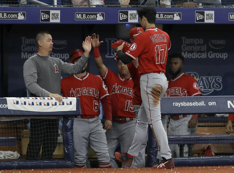 Los Angeles Angels' Shohei Ohtani (17), of Japan, celebrates with teammates in the seventh inning of a baseball game against the Tampa Bay Rays on Thursday, June 13, 2019, in St. Petersburg, Fla. Ohtani hit for the cycle in the game. (AP Photo/Chris O'Meara)