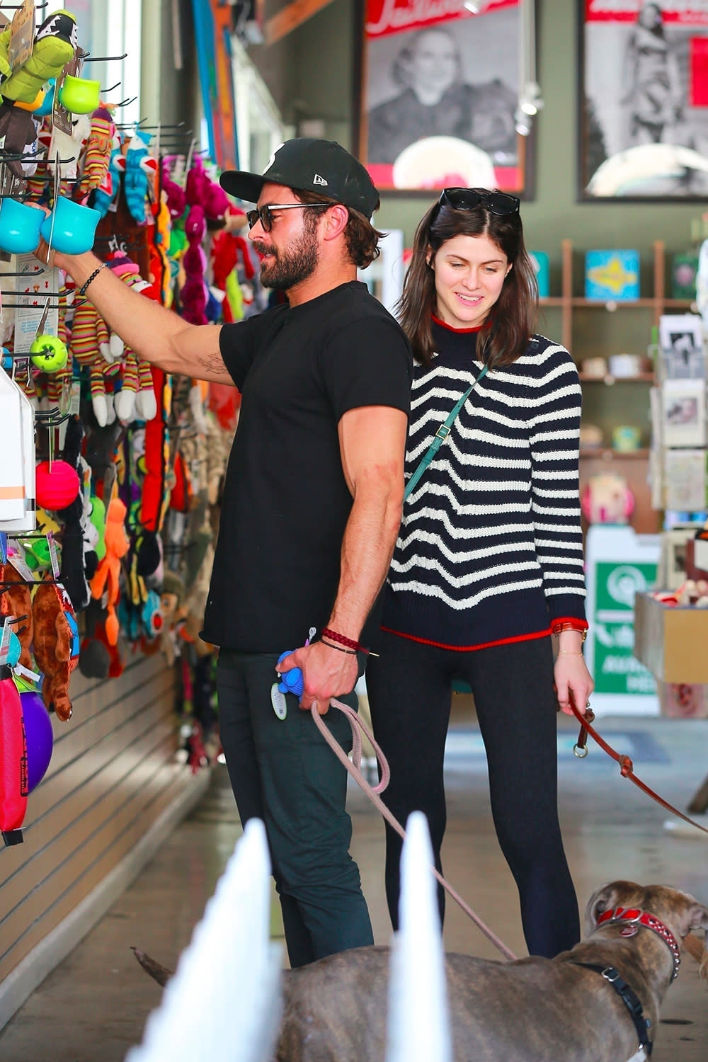Zac Efron and Alexandra Daddario shop for their dogs in Los Angeles. (Photo: Backgrid)