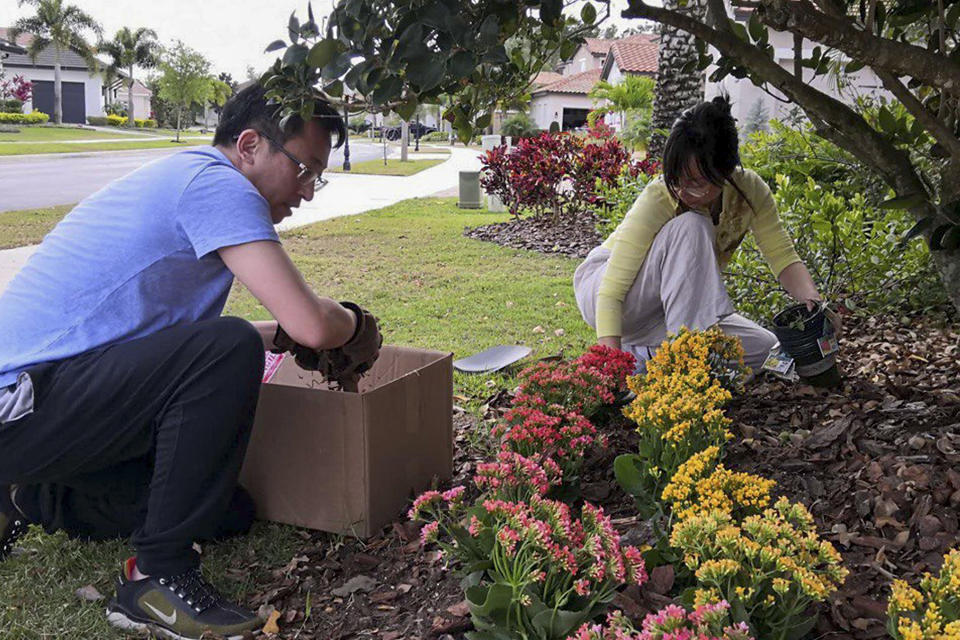 In this undated photo released by Miao Yu, Miao Yu and his wife Xie Fang garden in Orlando, Florida. Yu, a former bookseller, left China after his store was shut down for political reasons. (Miao Yu via AP)