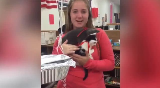 The students bought two kittens for Mrs Andrews after her cat died the day before. Photo: Twitter/AshleiMahan