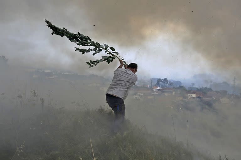 Fuego; incendios; Europa; España; Francia; Portugal; Mundo; ola de calor