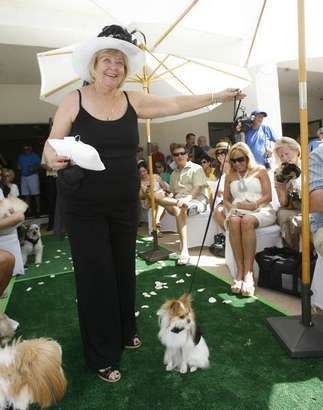 Llona Stephens of Palm Desert escorts her Pomeranian Mikey on the green carpet at Palm Desert Resort Country Club Sunday, April 22, 2012, during the wedding ceremony. <br> (Photo courtesy Wade Byars/The Desert Sun) <br> <br> (Originally reported in <a href="http://www.mydesert.com/article/20120423/NEWS01/204230322/Wedded-bliss-gone-dogs?odyssey=tab|topnews|text|Frontpage" rel="nofollow noopener" target="_blank" data-ylk="slk:The Desert Sun;elm:context_link;itc:0;sec:content-canvas" class="link ">The Desert Sun</a>)