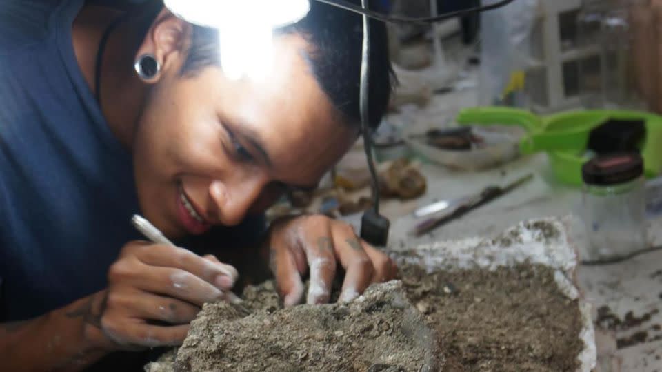 Paleontologist Aldo Benites-Palomino prepares the holotype skull of Pebanista yacuruna at the Natural History Museum of Lima in 2018. - Rodolfo Salas-Gismondi