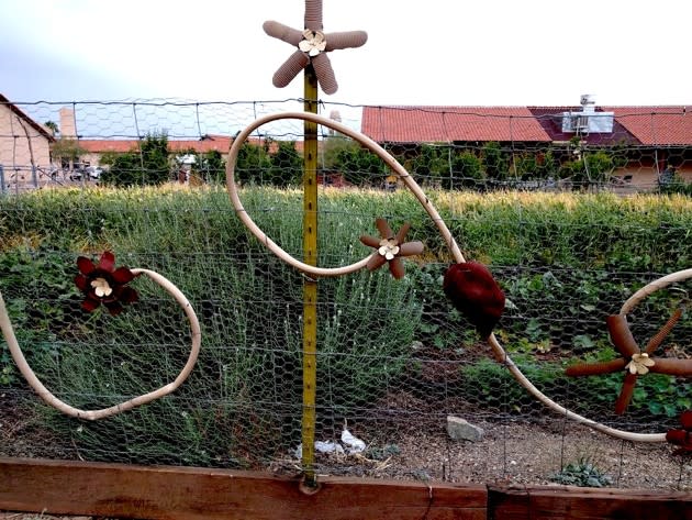 The gardens at the Sonoran Desert Conference Center (Deborah Fallows / The Atlantic)