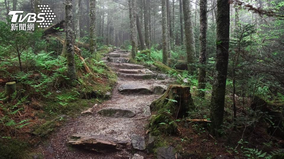 偶遇「魔神仔」是許多登山族都曾經歷過的奇聞軼事。（示意圖，與本事件無關／shutterstock達志影像）