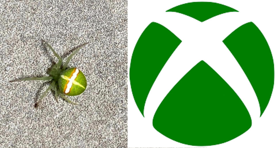 The green spider (left) and the Xbox logo (right)