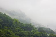 I am not a big fan of rain. If it's raining I get mad, upset and sometimes angry. Yet, on my way back from this holy shrine, where I climbed down almost 15 km in 2.5 hours and spent 12 tiring and wet hours in a blizzard, I found this photograph peaceful.<br>By <a href="http://www.flickr.com/photos/fro3enfire/" rel="nofollow noopener" target="_blank" data-ylk="slk:Fro3enfire;elm:context_link;itc:0;sec:content-canvas" class="link ">Fro3enfire</a>