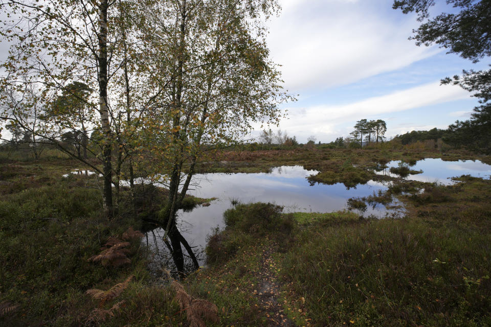 Flooded common in the UK, taken with the Sigma 10-18mm f2.8 DC DN lens for APS-C mirrorless