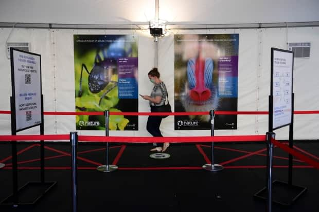 A staff member makes her way through a temporary welcome tent and screening area at the Canadian Museum of Nature, part of their COVID-19 precautions.