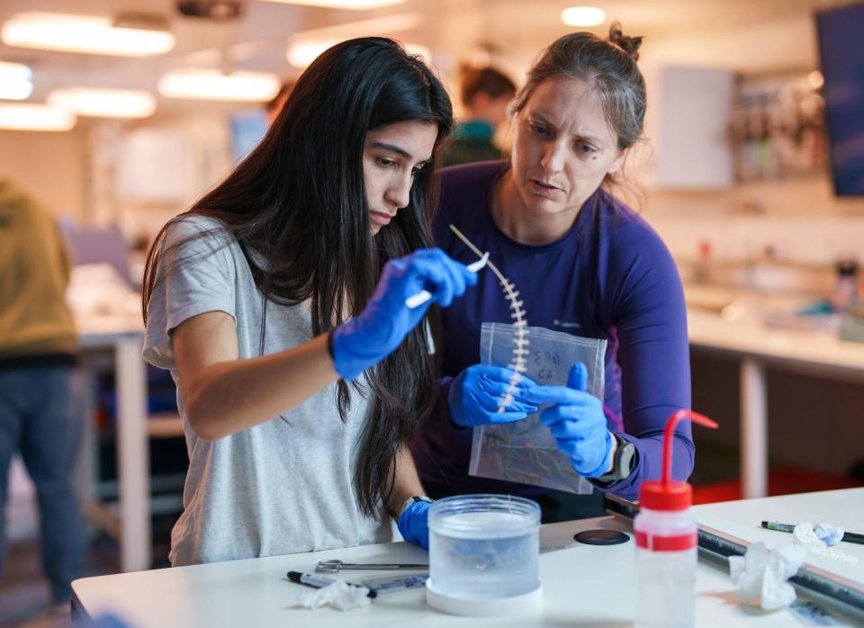 Two people wearing blue gloves in a lab with one holding a sample from a marine species, about to dip it in a plastic container filled with clear liquid