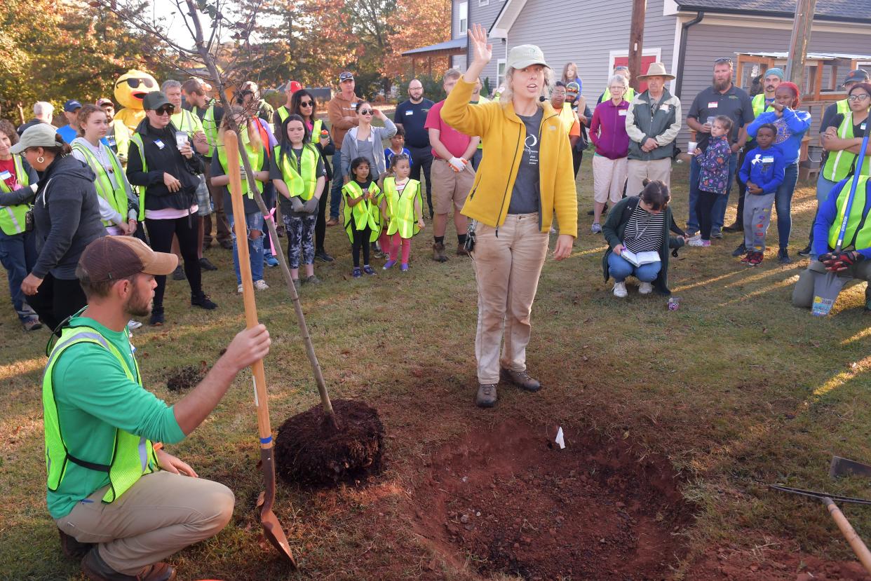 TreesUpstate, formerly known as TreesGreenville, is a nonprofit organization founded in 2005. Their mission is to plant, promote, and protect trees in the Upstate. On Oct. 28, TreesUpstate invited volunteers to a neighborhood in Greenville to plant trees. Kylie Stackis, program director, prepares volunteers for the process of planting trees.