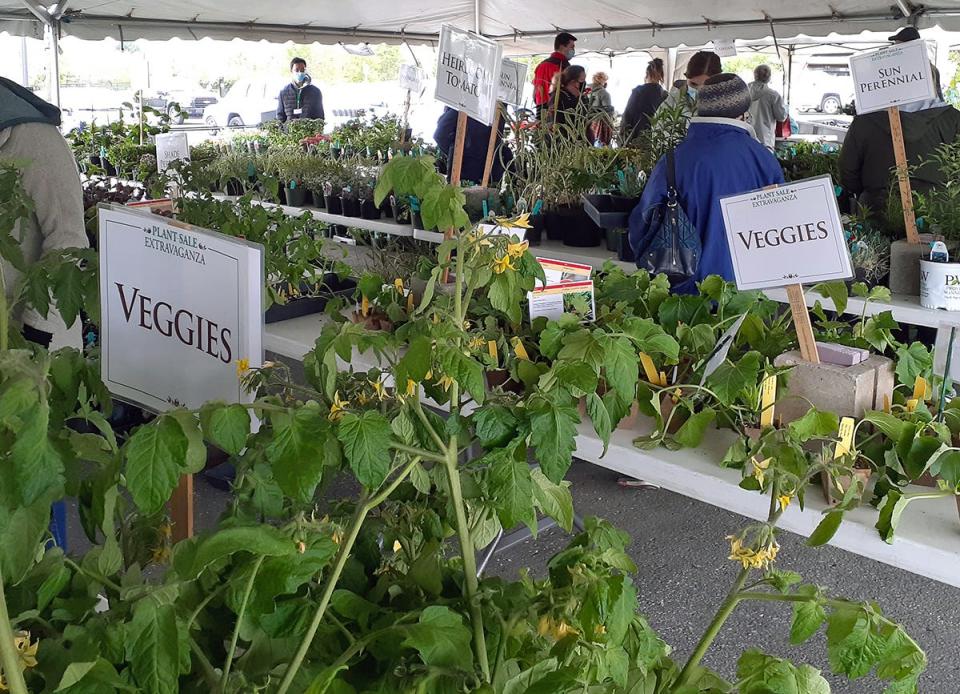 Reiman Gardens' Plant Sale Extravaganza is open to the public on Saturday and Sunday. Members can get an early jump on shopping Friday.