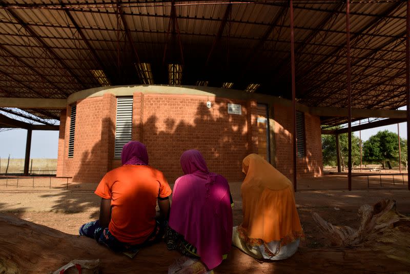 Pritzker Architecture Prize winner Kere receives hero's welcome in homeland Burkina Faso