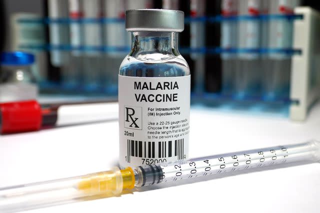 <p>Getty</p> The malaria vaccine is recommended if you're traveling to an area of high transmission of the disease.