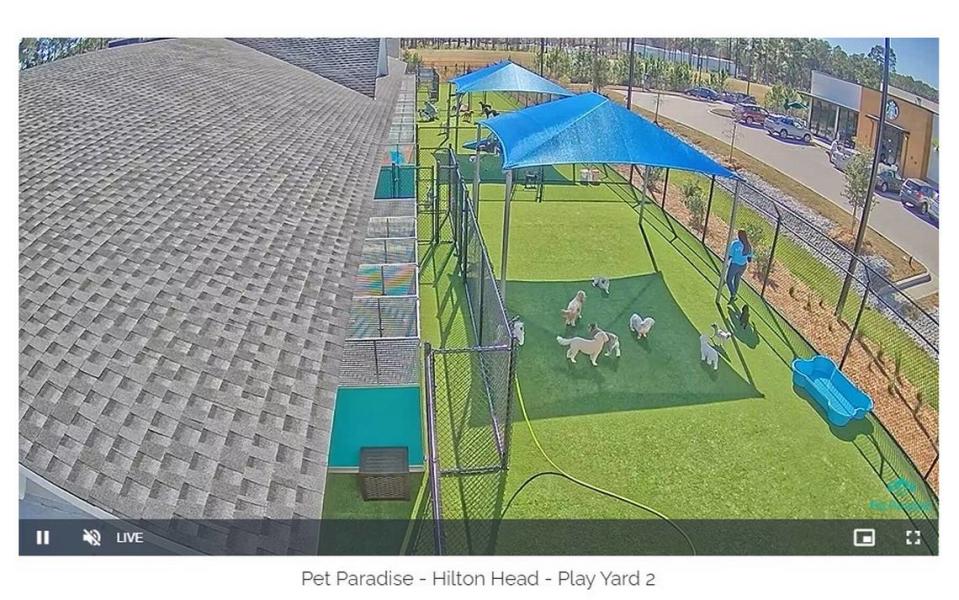 Pet owners can watch their dogs play via 11 webcams throughout the Pet Paradise property. Screen shot from Pet Paradise webcam