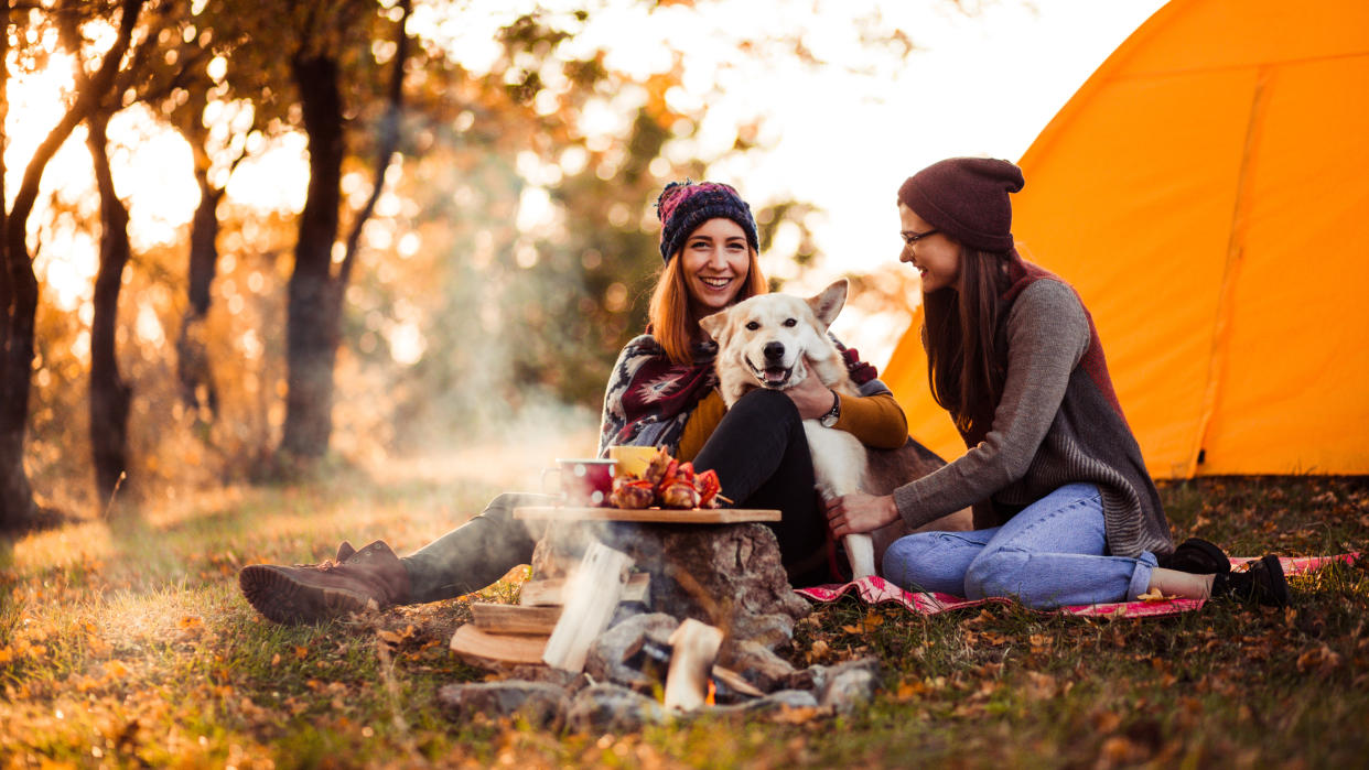  Camping with dogs. 