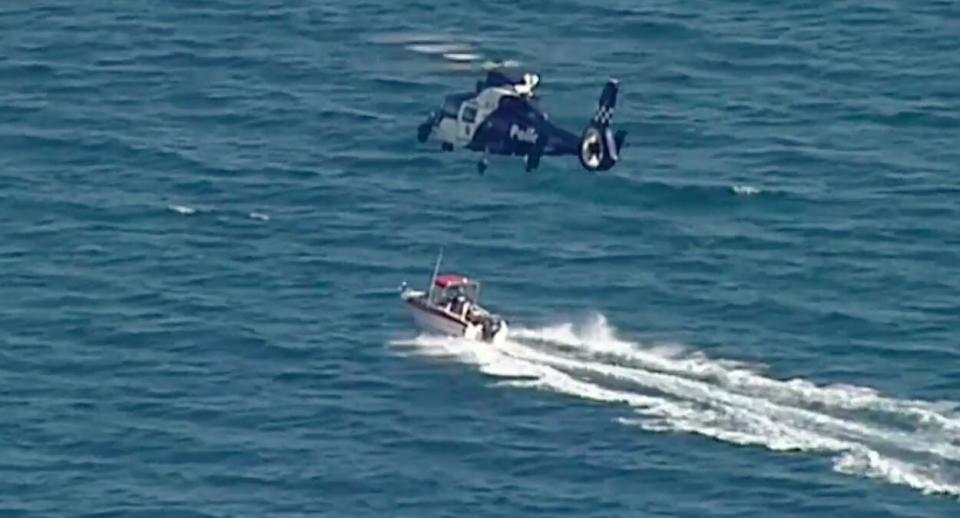 The hunt continues for the driver of the boast which struck and killed the skin diver about 1pm Sunday in what a coast guard has described as a "hit-and-run on the water". Source: Nine News