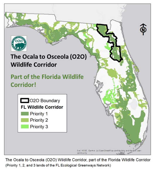 The Ocala to Osceola Wildlife Corridor is part of the Florida Wildlife Corridor.