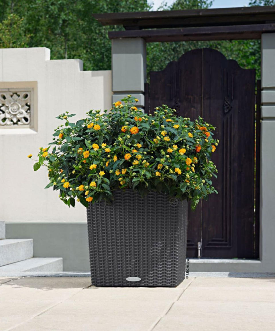 large self watering container on a patio