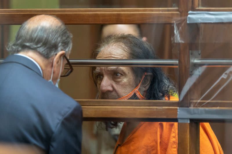 Adult film star Ron Jeremy appears in court on charges of rape, in Los Angeles