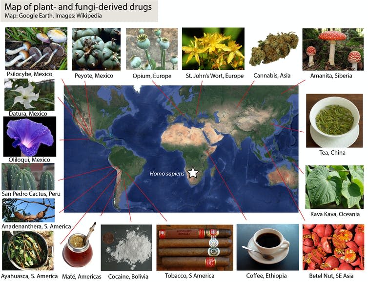 A map showing where different drugs originated