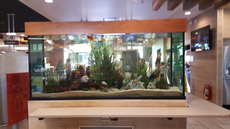 <p>There’s even room for a fish tank. </p>