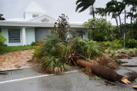 <p><strong>Fort Lauderdale</strong><br>A fallen palm tree is seen in a residential neighborhood in Fort Lauderdale, Fla., as Hurricane Irma blows in on Sept. 10, 2017. (Photo: Paul Chiasson/The Canadian Press via AP) </p>