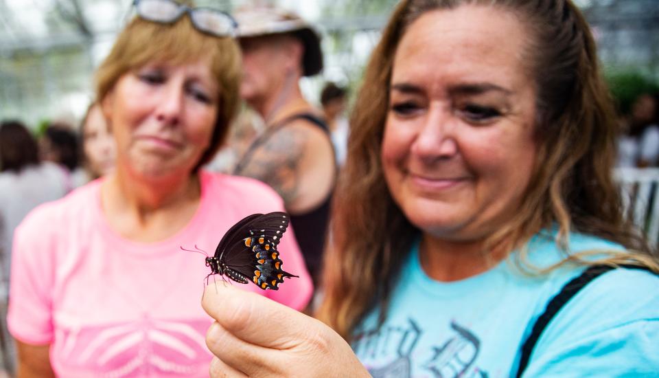 Tamara Gibbs releases a butterfly while Elizabeth Wilkerson looks on during the last butterfly release at the Florida Native Butterfly Society’s butterfly house in Fort Myers on Friday, July 28, 2023. The Florida Native Butterfly Society’s butterfly house closed on Friday. Gibbs is a former employee and supporter of the estates and Wilkerson is the butterfly breeder.