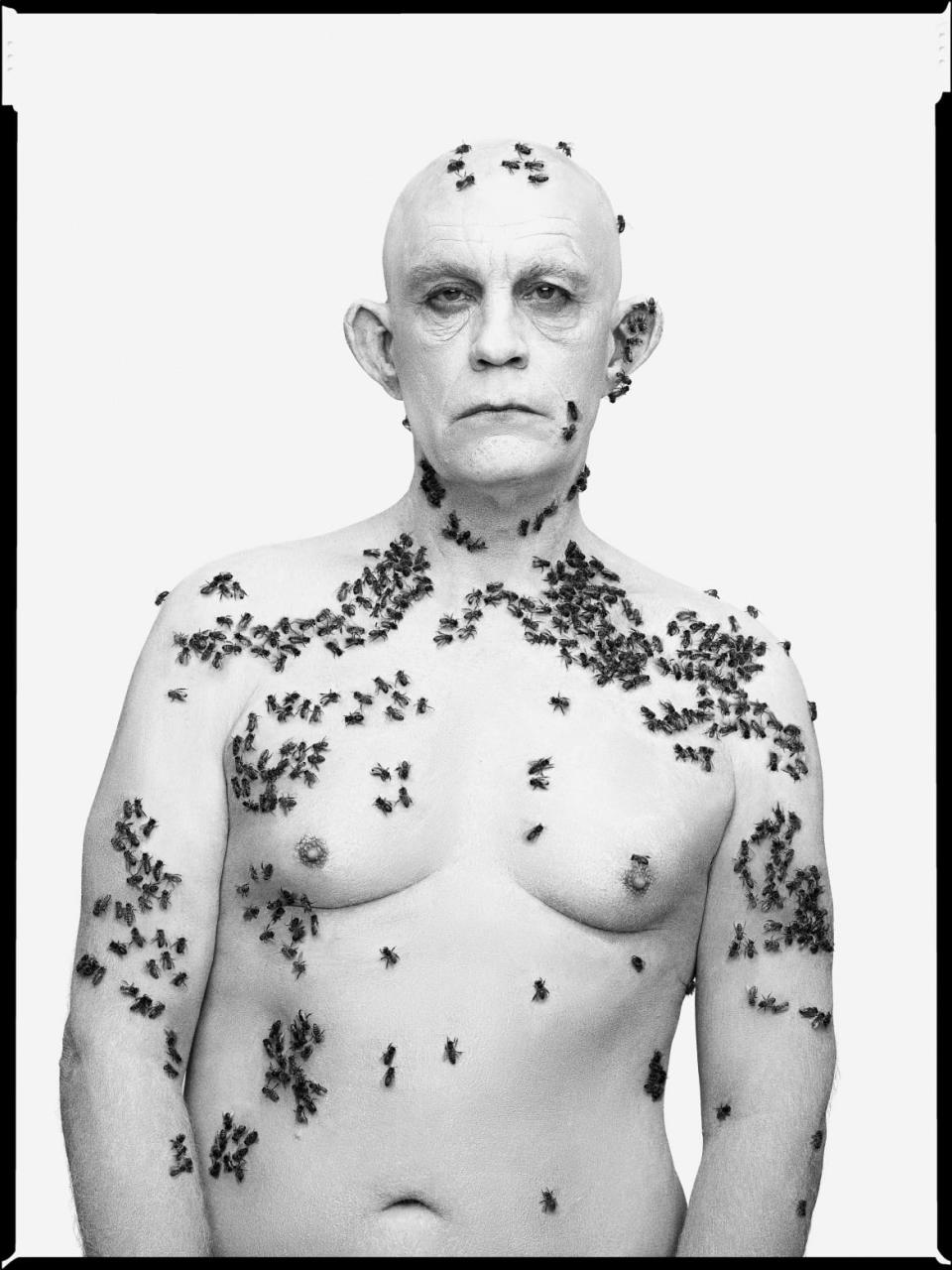 <div class="inline-image__caption"><p>John Malkovich by Sandro Miller as Ronald Fisher, Beekeeper by Richard Avedon</p></div> <div class="inline-image__credit">Sandro Miller</div>