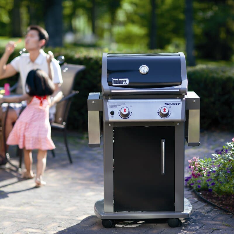 Weber (Photo: Wayfair)