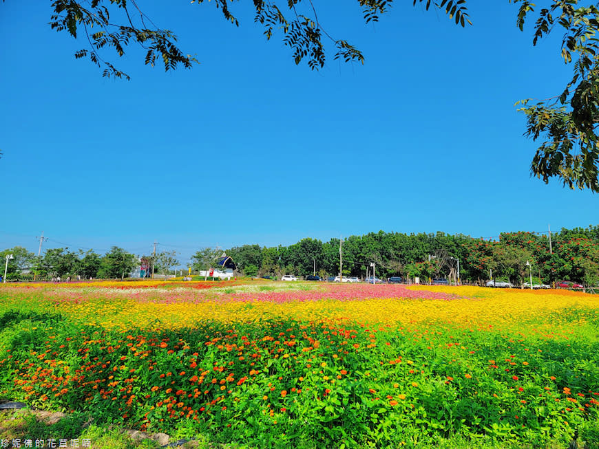 屏東｜新埤鄉綜合休閒公園