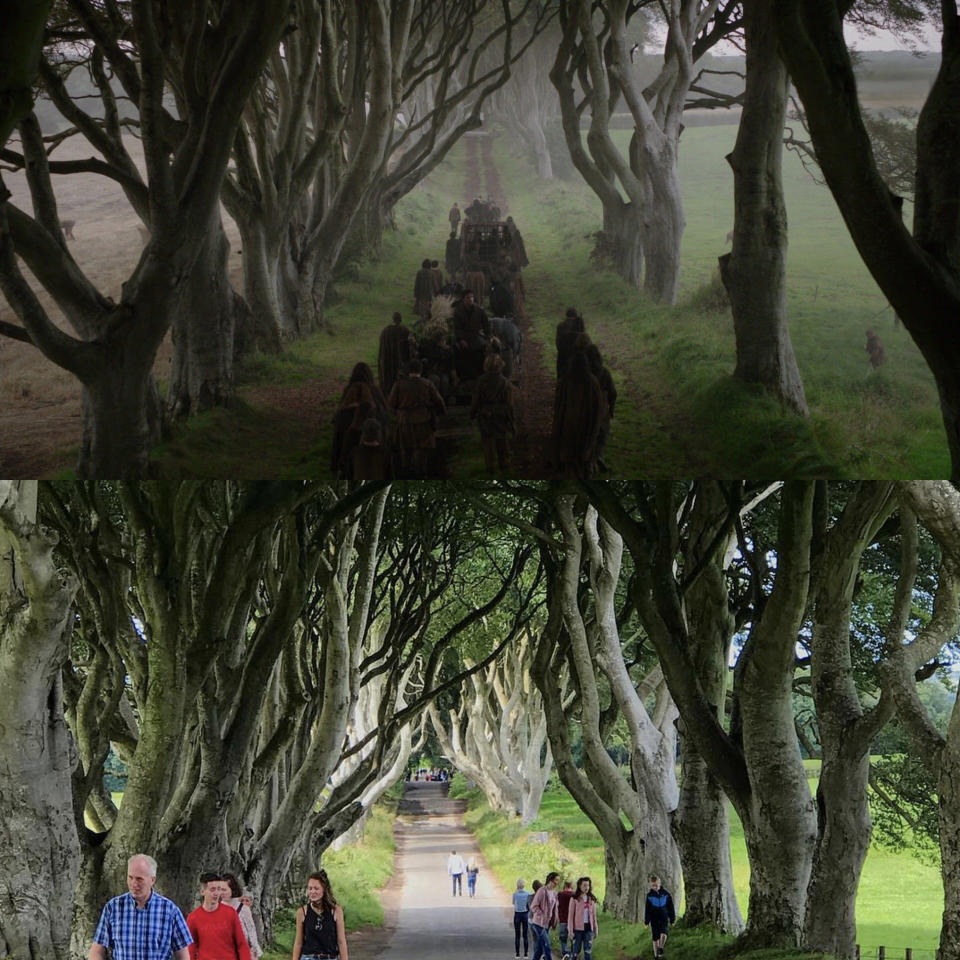 Dark Hedges, Ballymoney