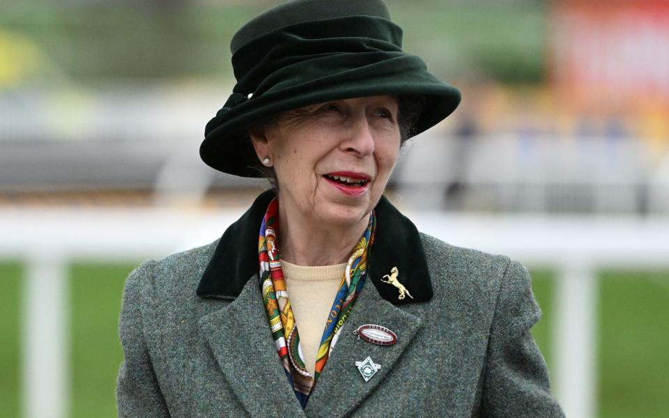 Princess Anne at Cheltenham