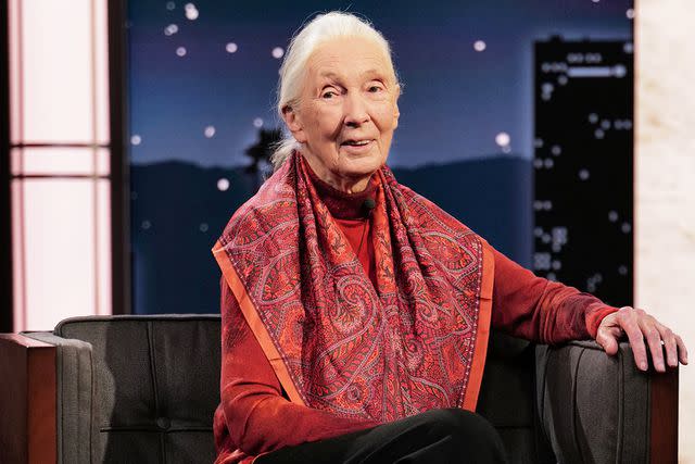 <p>Randy Holmes/ABC/Getty</p> Jane Goodall on "Jimmy Kimmel Live!" on April 13, 2023.