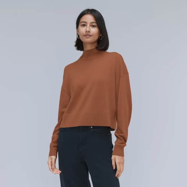 The Luxe Merino Turtleneck. Image via Everlane.