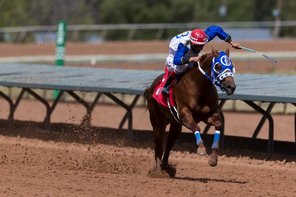 Lets Leave wins the ninth 350-yard Ruidoso Futurity Quarter Horse Trials race at the Ruidoso Downs Racetrack and Casino in Ruidoso, New Mexico, on Saturday, May 27, 2023.