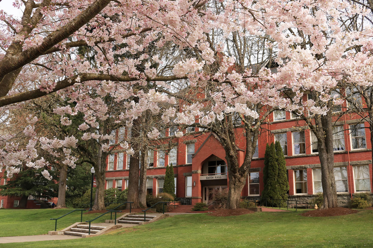 Spring campus scene Willamette University in Salem Oregon (Education Images / Universal Images Group via Getty Images file)