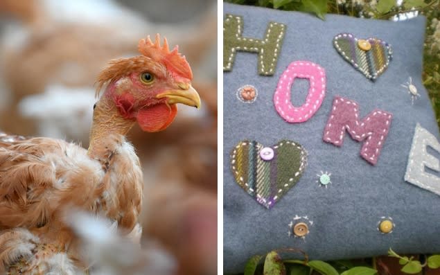 She sews cushions and has chickens - AFP