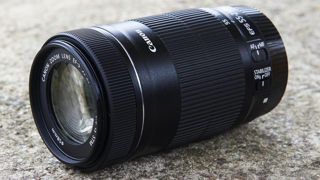 Best Canon telephoto: Canon EF-S 55-250mm f/4-5.6 IS STM