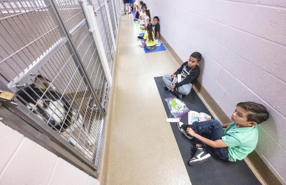 Lincoln Elementary students Luciano Beltran, right, and Juan Jesus Perez read to dogs in the Visalia Animal Care Center on Tuesday, June 20, 2023. The 10 Exeter students in their group will have five visits with the dogs doing the summer.