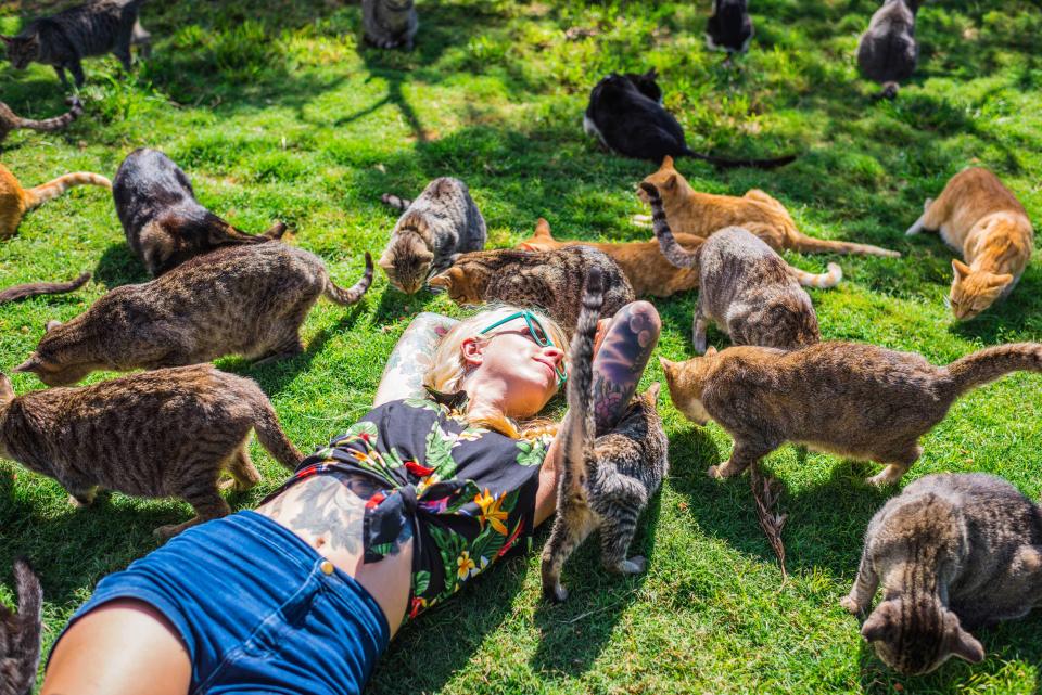 <p>Kitten Lady is surrounded by rescued cats at the the Lanai Cat Sanctuary in Hawaii. (Photo: Andrew Marttila/Caters News) </p>