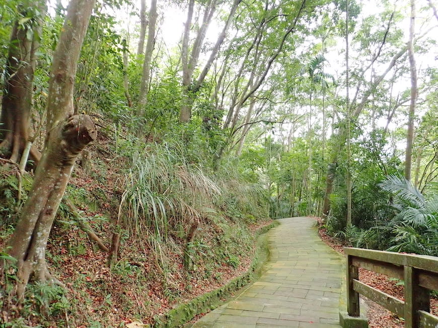 新竹十二寮登山步道