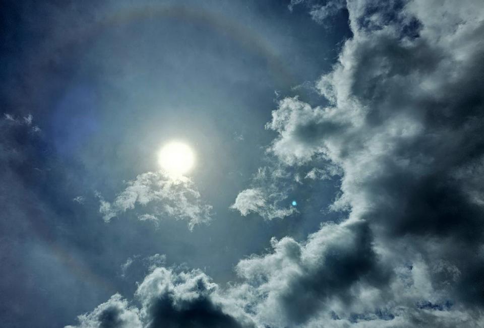 武陵農場出現罕見的「日暈」，抬頭望去彷如天空出現亮麗有神的「大眼睛」，令遊客驚呼。（記者陳金龍翻攝）