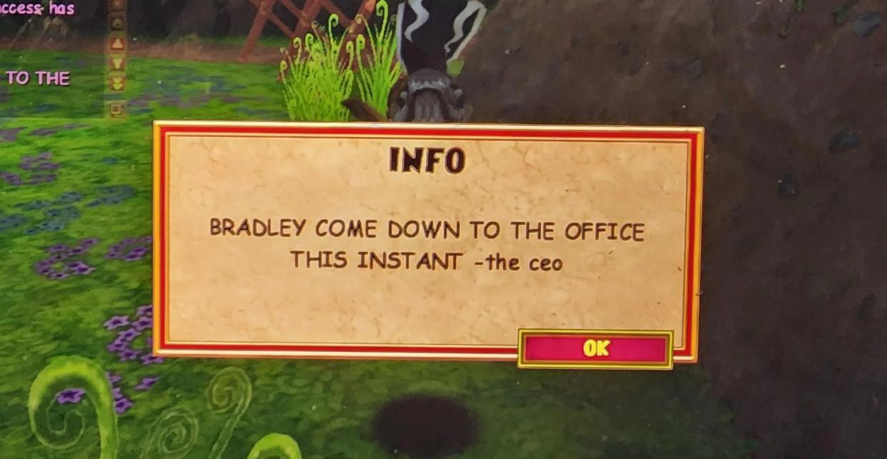  In-game message in Wizard101 reading "BRADLEY COME DOWN TO THE OFFICE THIS INSTANT -the ceo". 